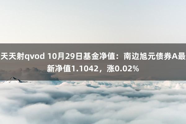 天天射qvod 10月29日基金净值：南边旭元债券A最新净值1.1042，涨0.02%