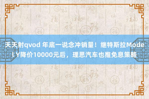 天天射qvod 年底一说念冲销量！继特斯拉Model Y降价10000元后，理思汽车也推免息策略