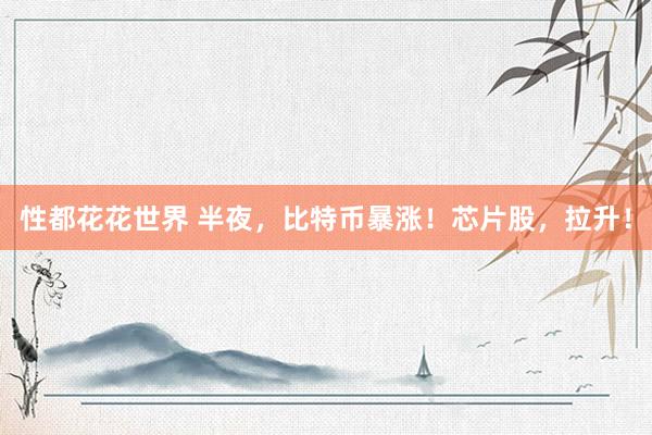 性都花花世界 半夜，比特币暴涨！芯片股，拉升！