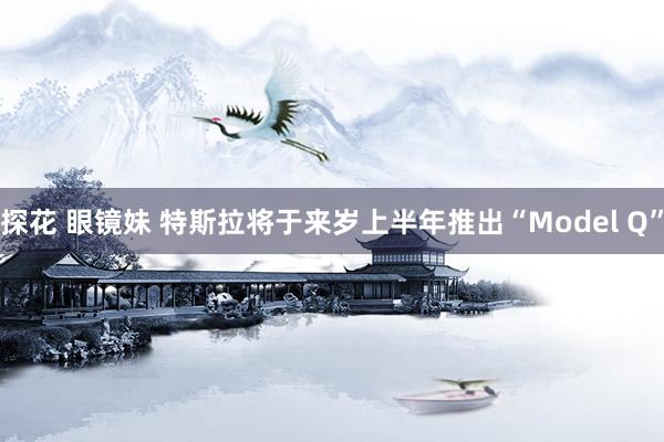 探花 眼镜妹 特斯拉将于来岁上半年推出“Model Q”