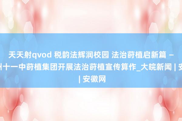 天天射qvod 税韵法辉润校园 法治莳植启新篇 ——宿州十一中莳植集团开展法治莳植宣传算作_大皖新闻 | 安徽网
