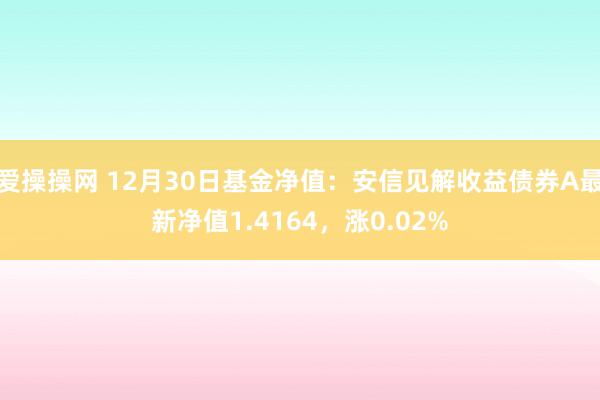 爱操操网 12月30日基金净值：安信见解收益债券A最新净值1.4164，涨0.02%