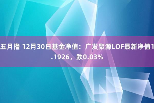 五月撸 12月30日基金净值：广发聚源LOF最新净值1.1926，跌0.03%