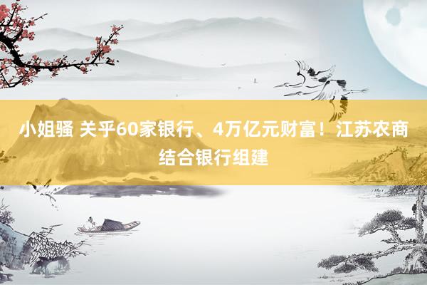 小姐骚 关乎60家银行、4万亿元财富！江苏农商结合银行组建