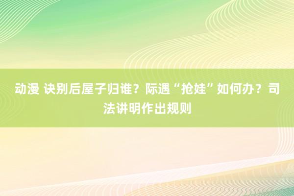 动漫 诀别后屋子归谁？际遇“抢娃”如何办？司法讲明作出规则