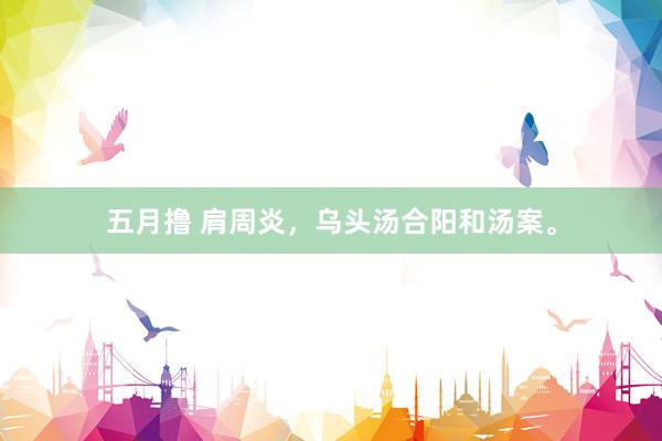 五月撸 肩周炎，乌头汤合阳和汤案。