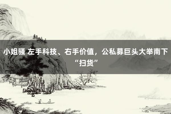 小姐骚 左手科技、右手价值，公私募巨头大举南下“扫货”