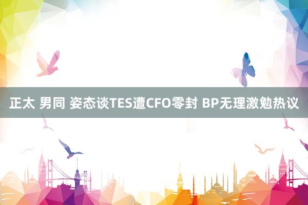 正太 男同 姿态谈TES遭CFO零封 BP无理激勉热议