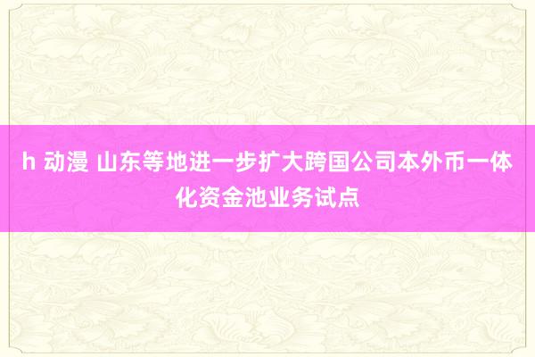 h 动漫 山东等地进一步扩大跨国公司本外币一体化资金池业务试点