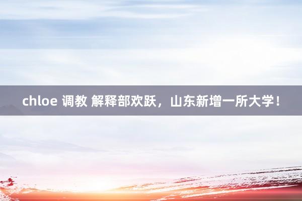 chloe 调教 解释部欢跃，山东新增一所大学！