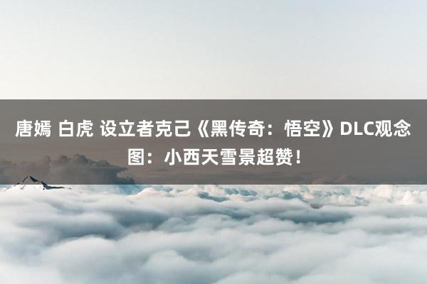 唐嫣 白虎 设立者克己《黑传奇：悟空》DLC观念图：小西天雪景超赞！