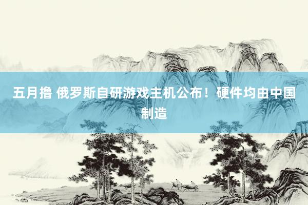 五月撸 俄罗斯自研游戏主机公布！硬件均由中国制造