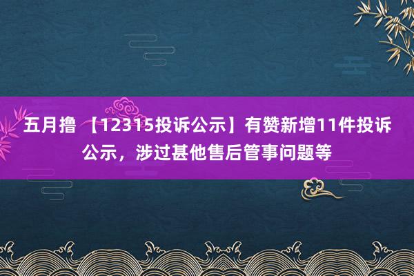五月撸 【12315投诉公示】有赞新增11件投诉公示，涉过甚他售后管事问题等