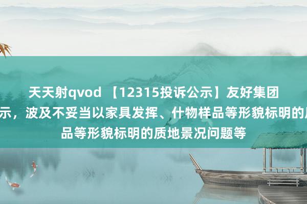 天天射qvod 【12315投诉公示】友好集团新增2件投诉公示，波及不妥当以家具发挥、什物样品等形貌标明的质地景况问题等