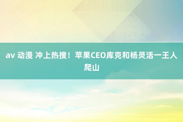 av 动漫 冲上热搜！苹果CEO库克和杨灵活一王人爬山