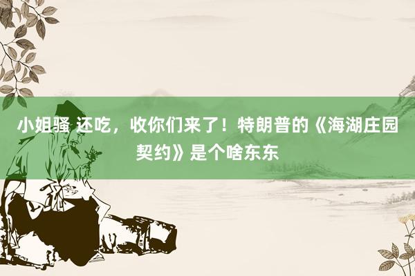 小姐骚 还吃，收你们来了！特朗普的《海湖庄园契约》是个啥东东