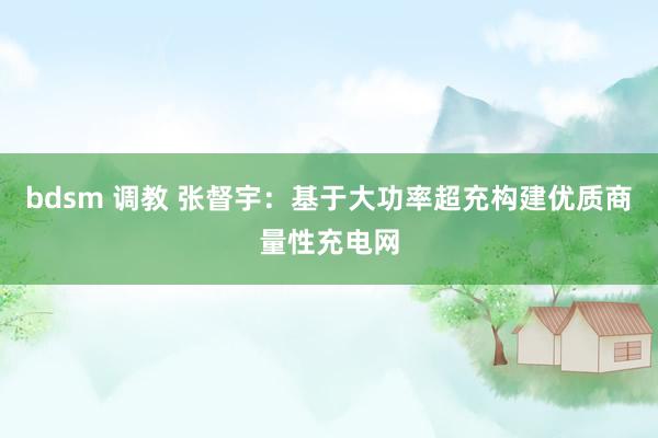 bdsm 调教 张督宇：基于大功率超充构建优质商量性充电网