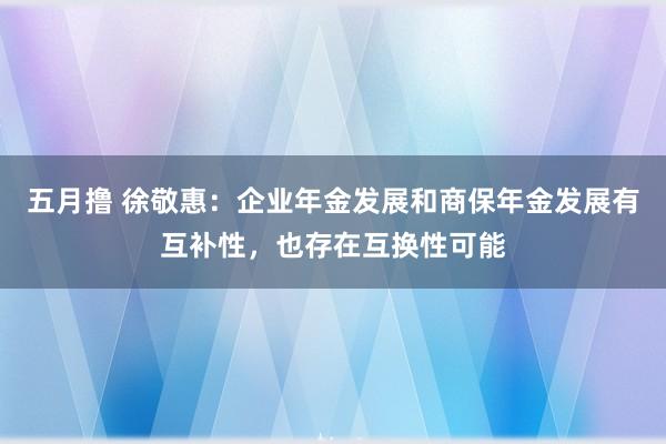 五月撸 徐敬惠：企业年金发展和商保年金发展有互补性，也存在互换性可能