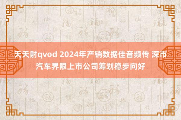 天天射qvod 2024年产销数据佳音频传 深市汽车界限上市公司筹划稳步向好