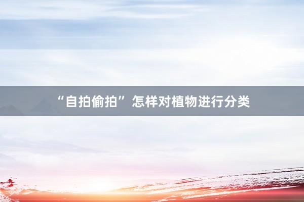 “自拍偷拍” 怎样对植物进行分类