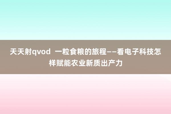 天天射qvod  一粒食粮的旅程——看电子科技怎样赋能农业新质出产力