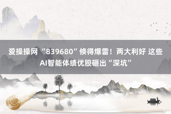 爱操操网 “839680”倏得爆雷！两大利好 这些AI智能体绩优股砸出“深坑”