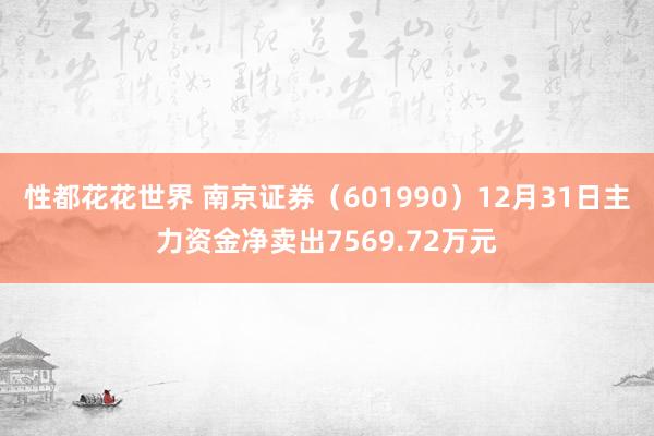 性都花花世界 南京证券（601990）12月31日主力资金净卖出7569.72万元
