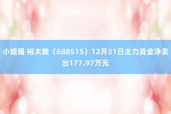 小姐骚 裕太微（688515）12月31日主力资金净卖出177.97万元