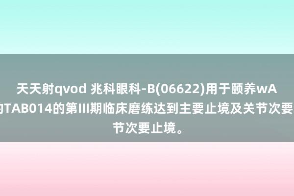 天天射qvod 兆科眼科-B(06622)用于颐养wAMD的TAB014的第III期临床磨练达到主要止境及关节次要止境。