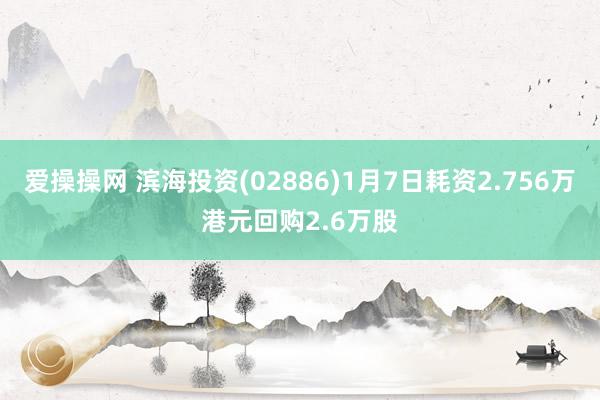 爱操操网 滨海投资(02886)1月7日耗资2.756万港元回购2.6万股