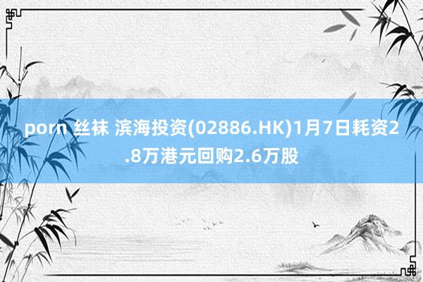 porn 丝袜 滨海投资(02886.HK)1月7日耗资2.8万港元回购2.6万股