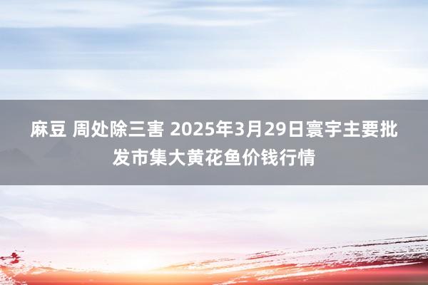 麻豆 周处除三害 2025年3月29日寰宇主要批发市集大黄花鱼价钱行情