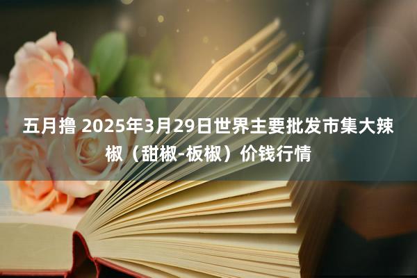 五月撸 2025年3月29日世界主要批发市集大辣椒（甜椒-板椒）价钱行情