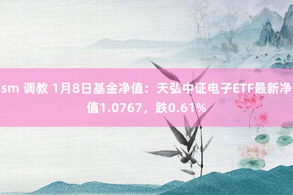 sm 调教 1月8日基金净值：天弘中证电子ETF最新净值1.0767，跌0.61%
