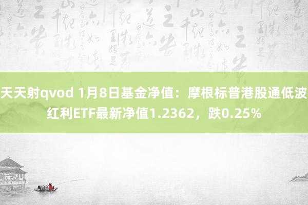 天天射qvod 1月8日基金净值：摩根标普港股通低波红利ETF最新净值1.2362，跌0.25%