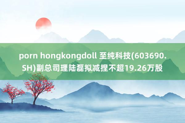 porn hongkongdoll 至纯科技(603690.SH)副总司理陆磊拟减捏不超19.26万股