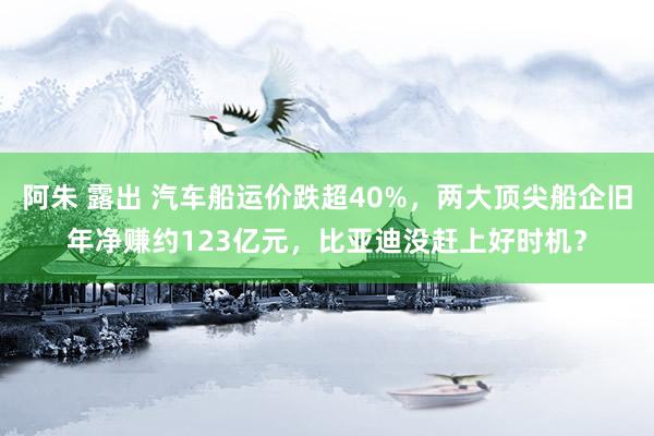 阿朱 露出 汽车船运价跌超40%，两大顶尖船企旧年净赚约123亿元，比亚迪没赶上好时机？