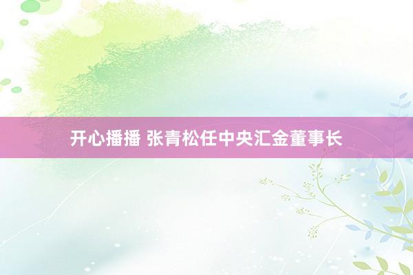 开心播播 张青松任中央汇金董事长