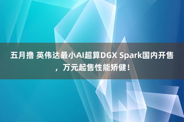 五月撸 英伟达最小AI超算DGX Spark国内开售，万元起售性能矫健！