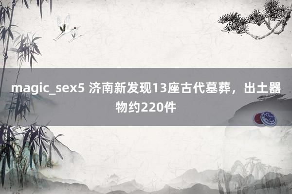 magic_sex5 济南新发现13座古代墓葬，出土器物约220件