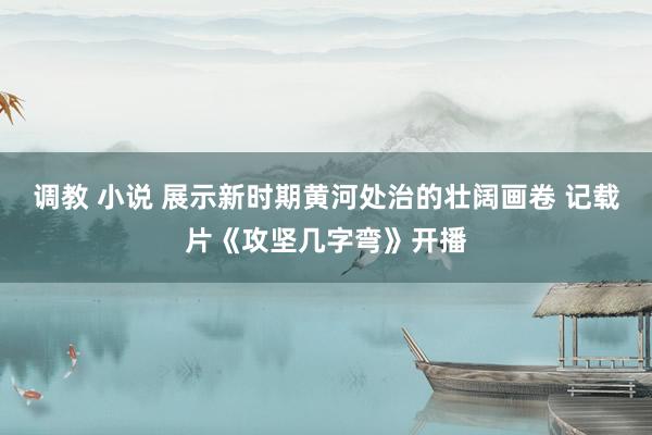 调教 小说 展示新时期黄河处治的壮阔画卷 记载片《攻坚几字弯》开播