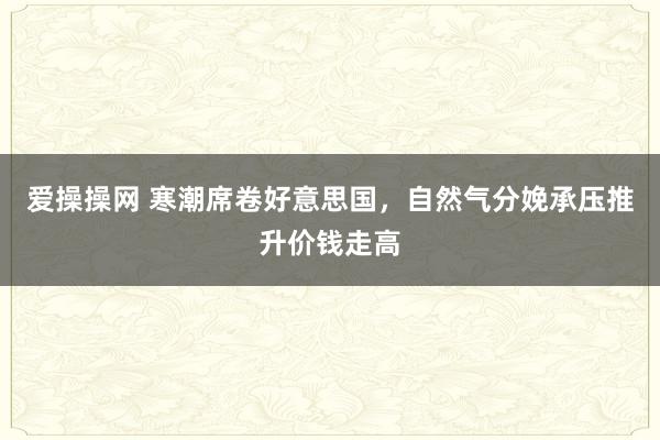 爱操操网 寒潮席卷好意思国，自然气分娩承压推升价钱走高