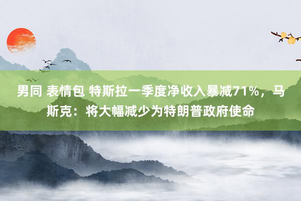 男同 表情包 特斯拉一季度净收入暴减71%，马斯克：将大幅减少为特朗普政府使命