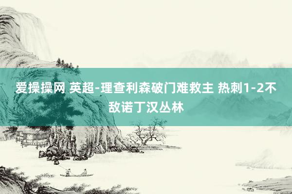 爱操操网 英超-理查利森破门难救主 热刺1-2不敌诺丁汉丛林