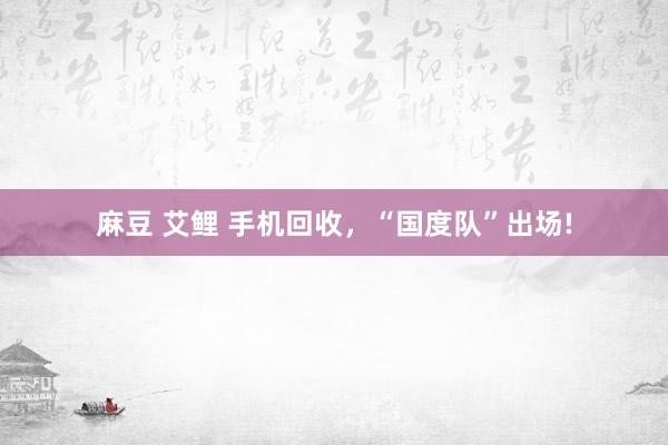 麻豆 艾鲤 手机回收，“国度队”出场!