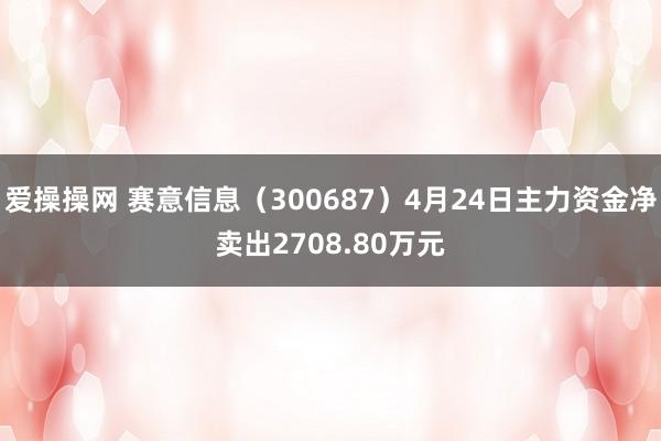 爱操操网 赛意信息（300687）4月24日主力资金净卖出2708.80万元