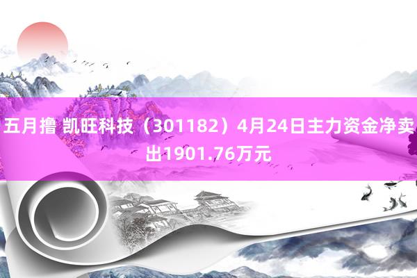 五月撸 凯旺科技（301182）4月24日主力资金净卖出1901.76万元