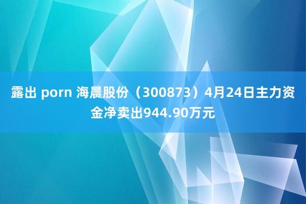 露出 porn 海晨股份（300873）4月24日主力资金净卖出944.90万元