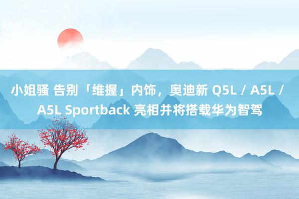 小姐骚 告别「维握」内饰，奥迪新 Q5L / A5L / A5L Sportback 亮相并将搭载华为智驾